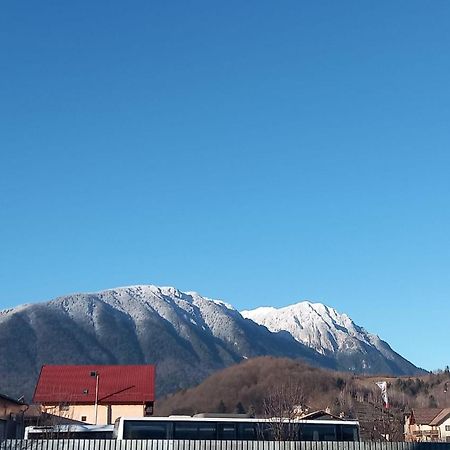 Piatra Craiului Residence Зернешті Екстер'єр фото